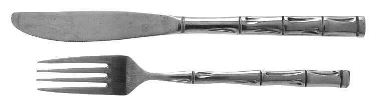 CSS9 (Stainless) Modern Solid Knife