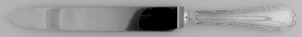 Rubans (Silverplate, 1926) Large Stainless Blade Roast Carving Knife