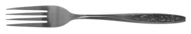 CUS1 (STAINLESS) Fork