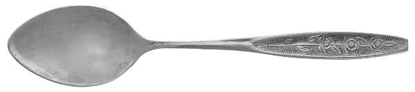 CUS1 (STAINLESS) Teaspoon