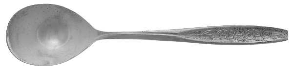 CUS1 (STAINLESS) Sugar Spoon