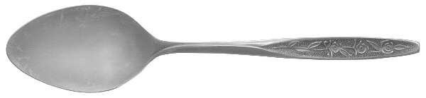 CUS1 (STAINLESS) Place/Oval Soup Spoon