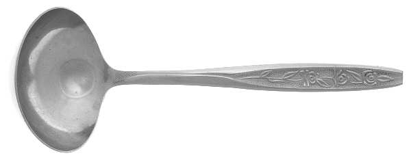 CUS1 (STAINLESS) Solid Gravy Ladle
