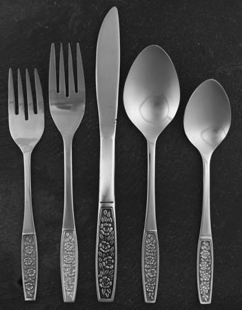 CUS10 (STAINLESS) 5 Piece Place Setting