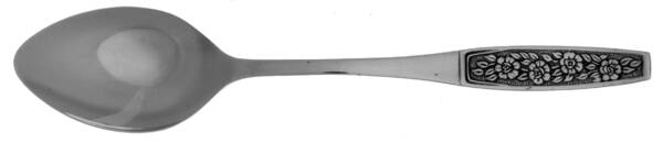 CUS10 (STAINLESS) Teaspoon