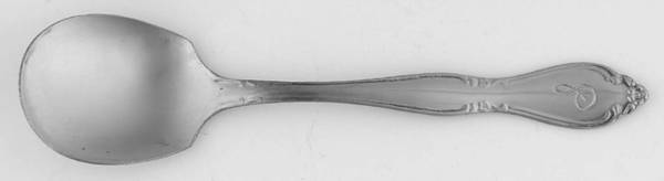 CUS11 (Stainless) Sugar Spoon