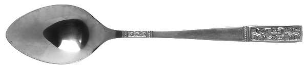 CUS3 (STAINLESS) Teaspoon