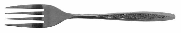 CUS5 (STAINLESS) Fork