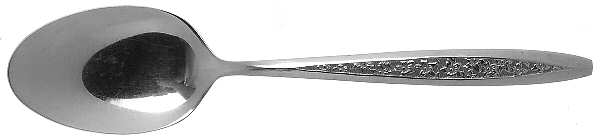 CUS5 (STAINLESS) Tablespoon (Serving Spoon)