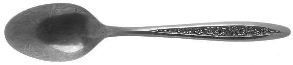 CUS5 (STAINLESS) Teaspoon