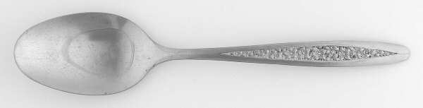 CUS5 (STAINLESS) Place/Oval Soup Spoon