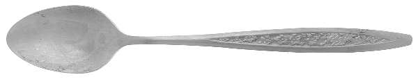 CUS5 (STAINLESS) Iced Tea Spoon