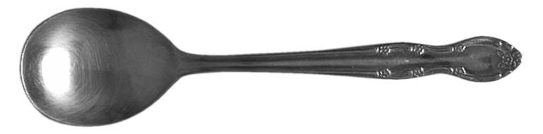 CUS6 (STAINLESS) Sugar Shell Spoon