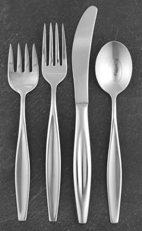 Leisure (Stainless) 5 Piece Place Setting