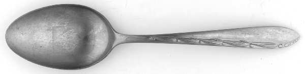 Teaneck Place/Oval Soup Spoon
