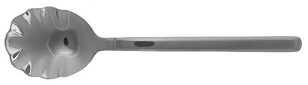Seminary (Stainless) Sugar Shell Spoon