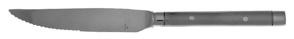 Tripoli II-Sand (Stainless) Steak Knife Individual Hollow, Serrate HC