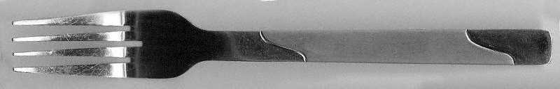 Cbs53 (Stainless) Fork
