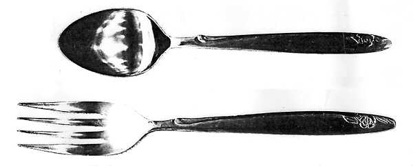 CSM51 (Stainless) Teaspoon