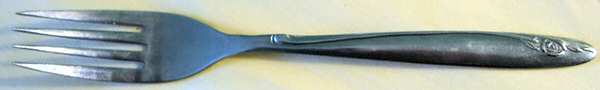 CSM51 (Stainless) Fork