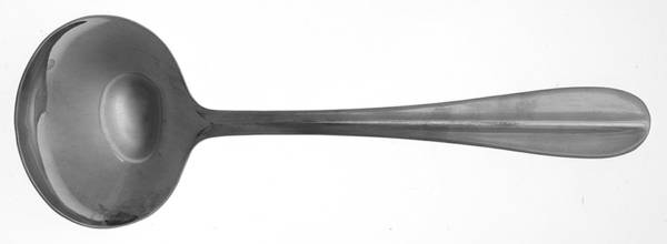 Aurora (Stainless) Solid Gravy Ladle