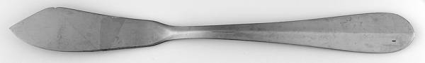 Aurora (Stainless) Flat Handle Master Butter Knife