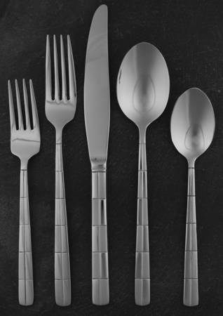 Landscape (Stainless 18-0) 5 Piece Place Setting