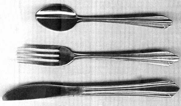 CBS61 (Stainless) Fork