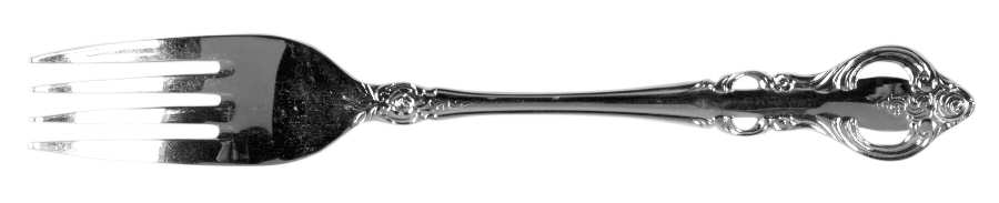 CSM53 (Stainless) Fork