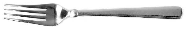 Odyssey (Stainless) Fork by Cambridge Silver