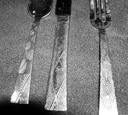 CBS80 (Stainless) Fork