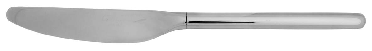 Tenere (Stainless) Dessert Knife with Stainless Blade