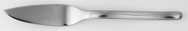 Tenere (Stainless) Individual Solid Fish Knife