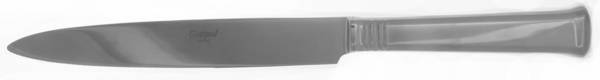 Acer (Stainless) Small Steak Carving Knife with Stainless Blade