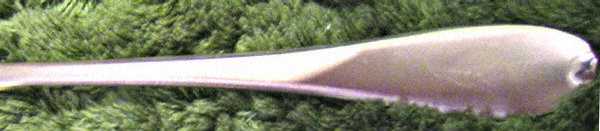 CBS84 (Stainless) by Cambridge Silver