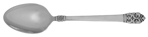 Catherines (Stainless) Teaspoon