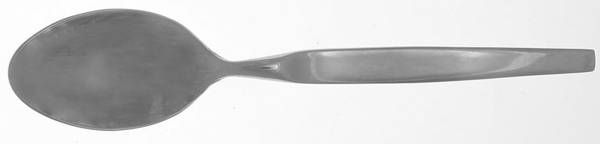 Ebb (Stainless) Teaspoon
