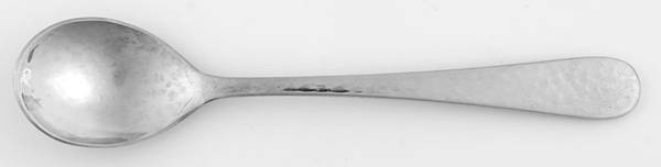 CBS96 (Stainless) Sugar Spoon