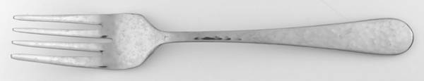 CBS96 (Stainless) Individual Salad Fork