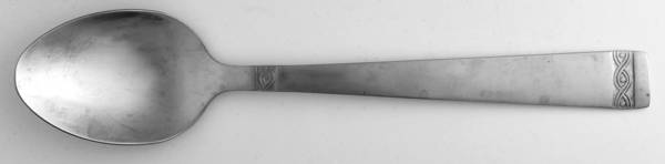 Danielle (Stainless) Teaspoon