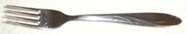 CUS22 (Stainless) Fork