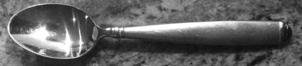 Edison (Stainless) Teaspoon