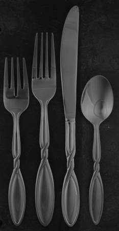 Eclipse (Stainless) 4 Piece Place Setting