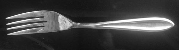 Satin Imprint (Stainless) by Cuisinart Flatware