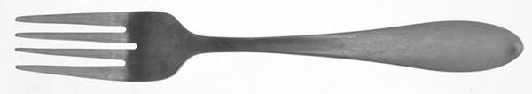 Hailey (Stainless) Individual Salad Fork