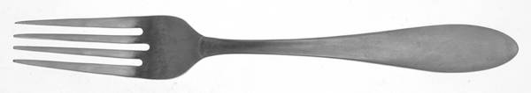 Hailey (Stainless) Fork