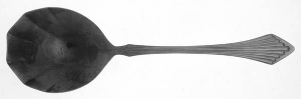 COG17 (Stainless) Solid Serving Spoon