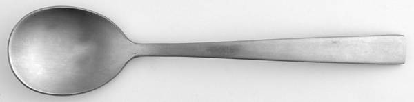 CBS114 (Stainless) Sugar Spoon