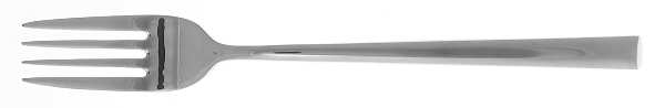CDW11 (Stainless) Fork