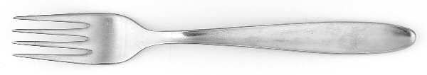 CII3 (Stainless) Fork